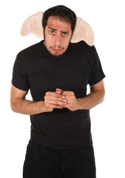 Dobby Ears For Adults