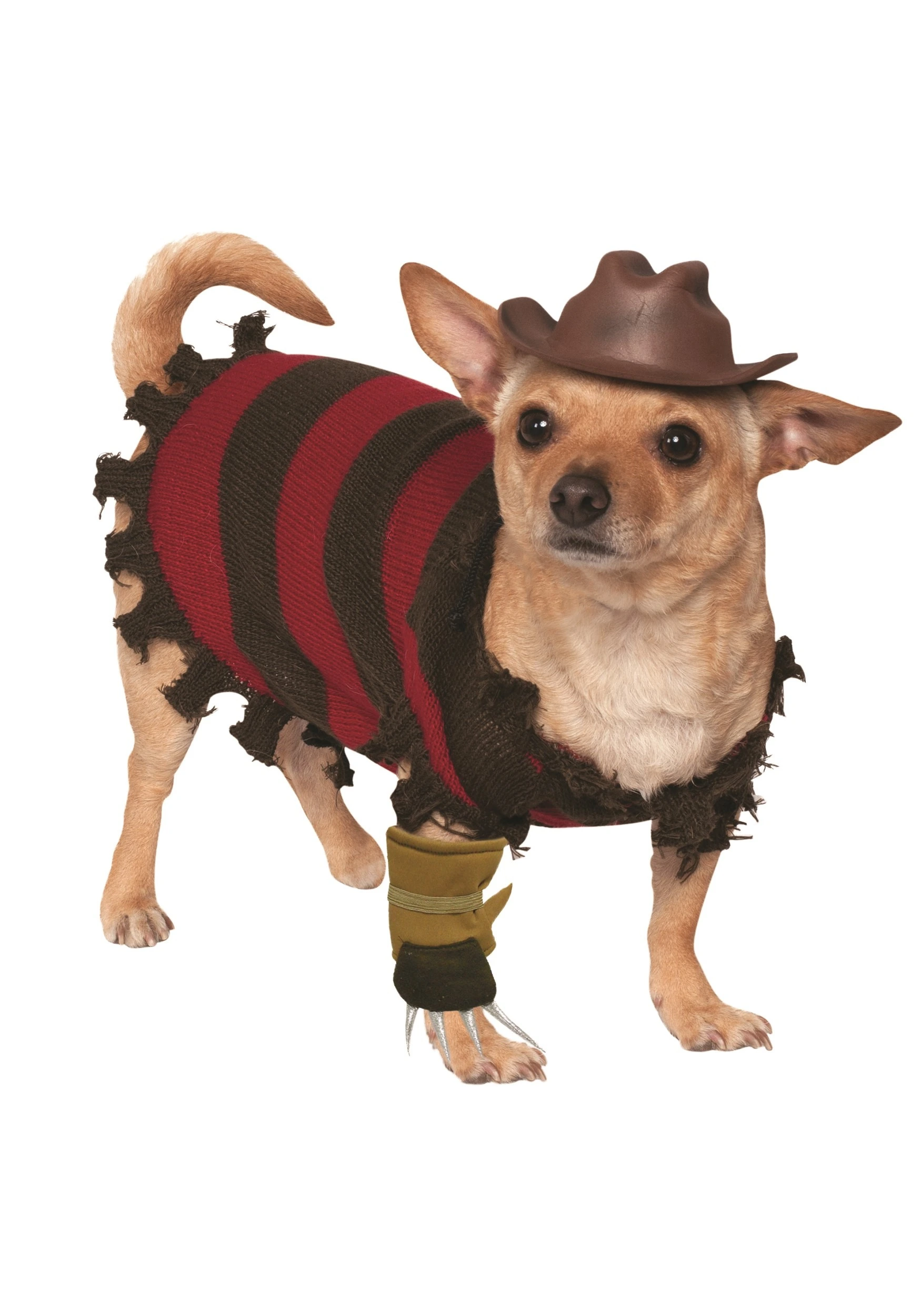 Freddy Krueger Pet Costume 3 Freddy Krueger Pet Costume
