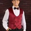 Harry Potter Gryffindor Deluxe Vest For Men -Harry Potter Gifts Shop harry potter gryffindor velvet vest 2